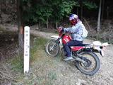 IMG_20200321_085354