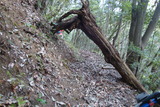 DSC02707