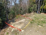 IMG20250322115721
