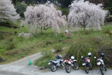 DSC02650