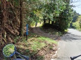 IMG20250505135349