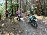 IMG20250426101017
