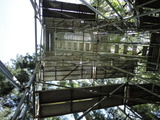 DSC02462