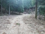 IMG_20200321_085237