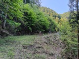 IMG20250505081934