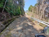 IMG20250329100710