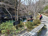 IMG20250329135932