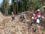 IMG20250329104542