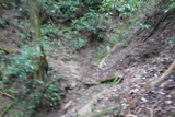 DSC02712