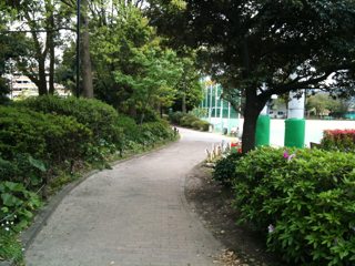 53700f26.jpg