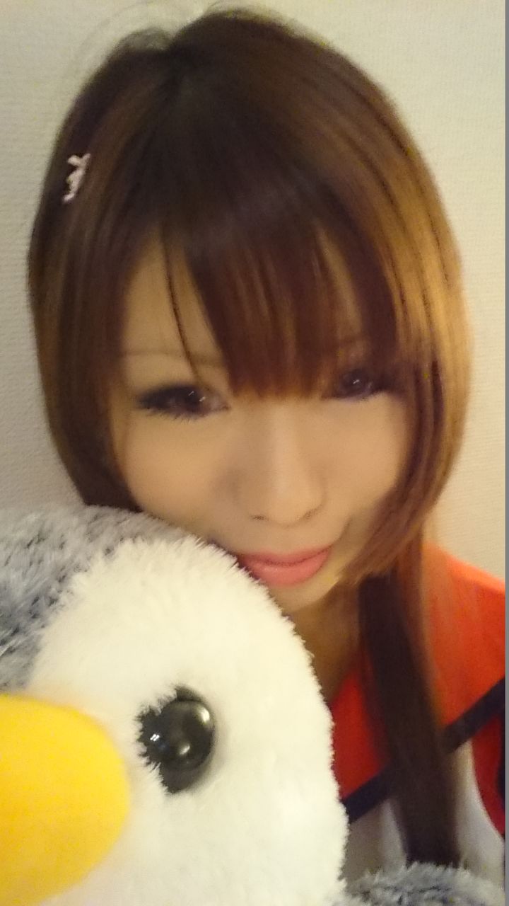 にゃまと出撃 砂川屋日記