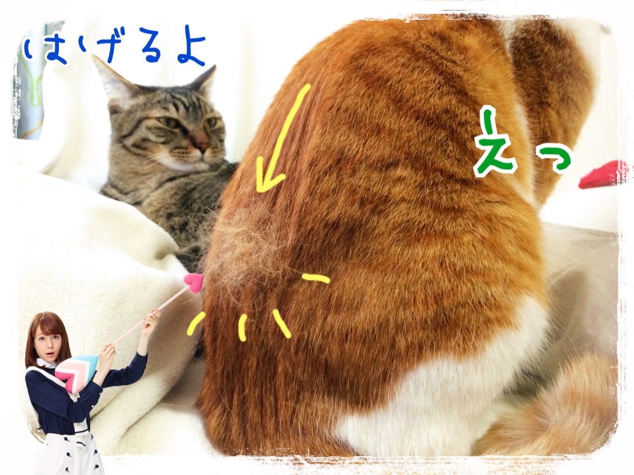 ででんでんででんっ Sunagimo Studio ででんでんででんっ Sunagimo Studio