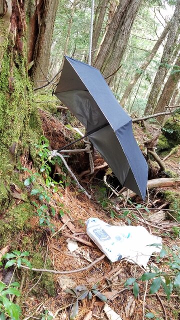 樹海日記 砂消しブログ