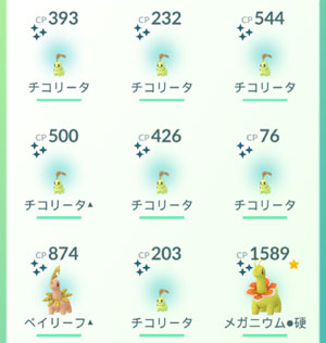 ポケモンgo 今日はチコチータの日 すな風呂 ポケモンgo 今日はチコチータの日 すな風呂