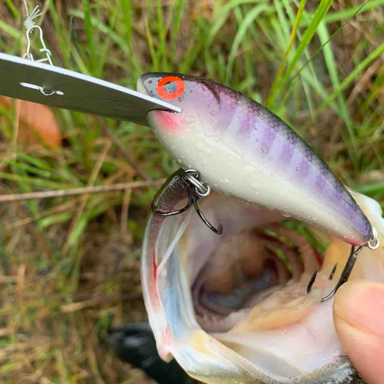 効果的な奴。 : 好きこそ物の上手なれ