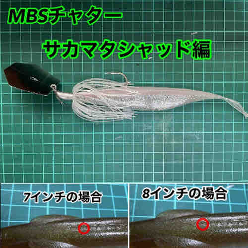 お一人様2個まで！】フィンズオンリー/MBS チャター [1/2oz