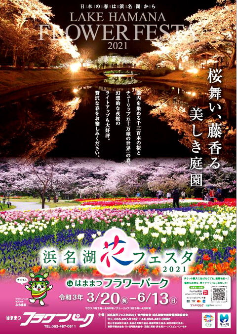 Free Flight 本日３月２０日 春分の日 浜名湖花フェスタ開幕です より子 忘れられた桜の木