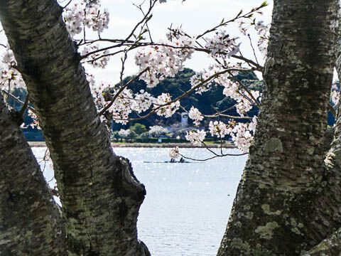 P1040276