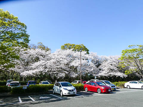 P1040281