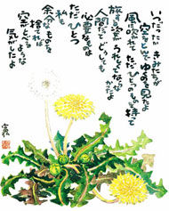 tanpopo