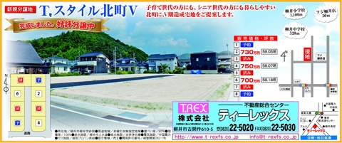 ティーレックス(全3)0810
