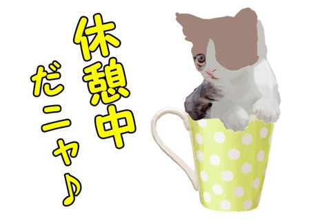 ネコカップ休憩中