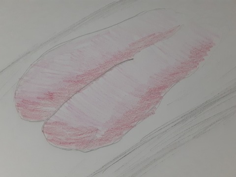 明太子イラスト