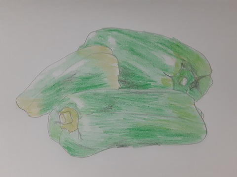 ピーマンイラスト
