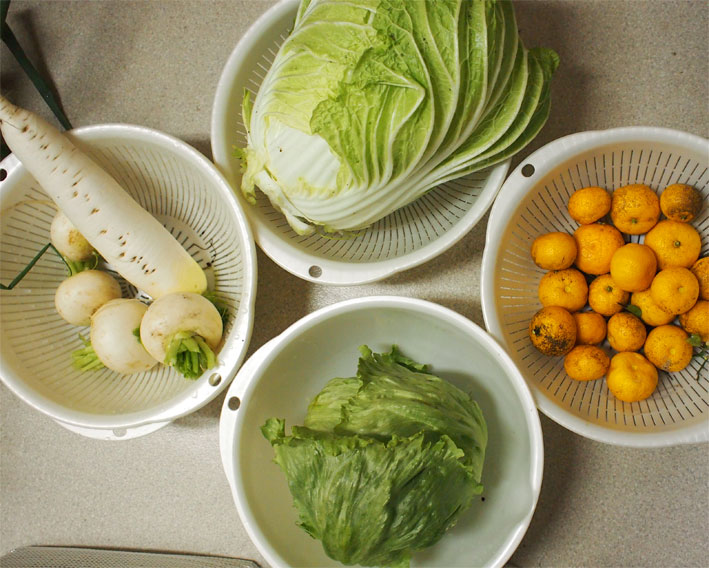 畑で採れた白菜 ダイコンで 鍋をする Sunday Gamerのブログ