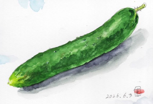 26初なりキュウリ_1