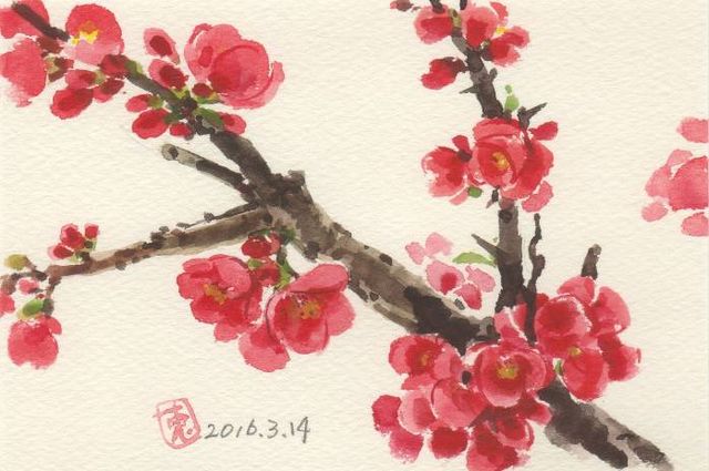 緋色の木瓜の花がまぶれついて 絵日記 新 サンデーkuぼちぼち絵日記 緋色の木瓜の花がまぶれついて 絵日記 新 サンデーkuぼちぼち絵日記