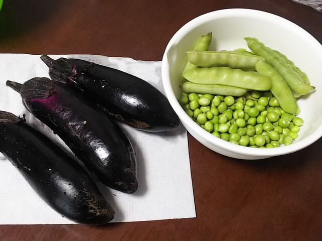 えんどう豆と初採れなすび 日記 新 サンデーｋｕぼちぼち絵日記