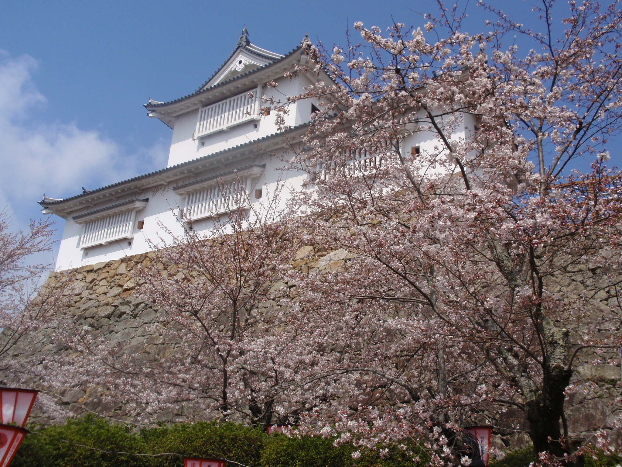 津山城鶴山公園お花見 日記 新 サンデーｋｕぼちぼち絵日記