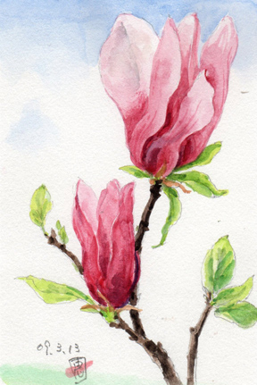 モクレン 水彩画 絵画 Xplast Com Py