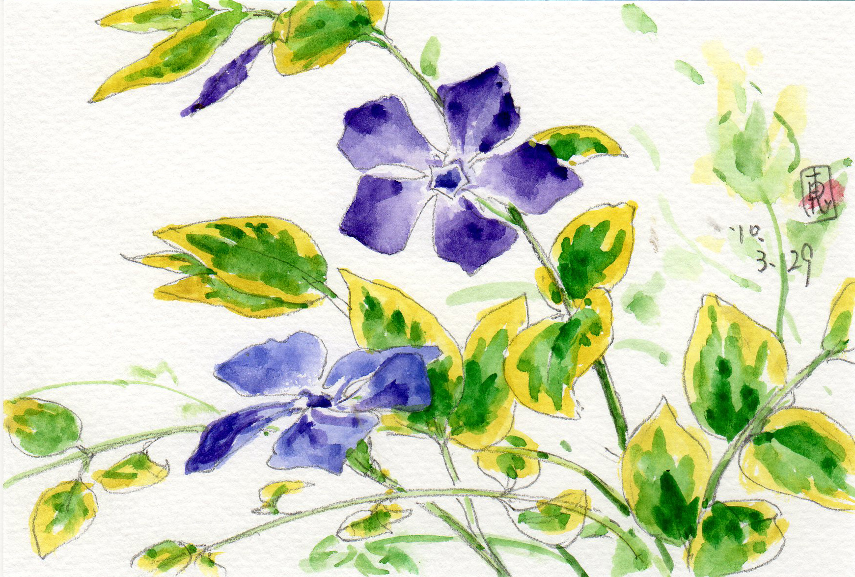 10年03月 新 サンデーｋｕぼちぼち絵日記