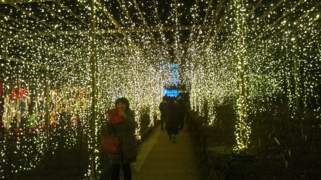 由志園 紅葉のライトアップとイルミネーション 日記 新 サンデーｋｕぼちぼち絵日記