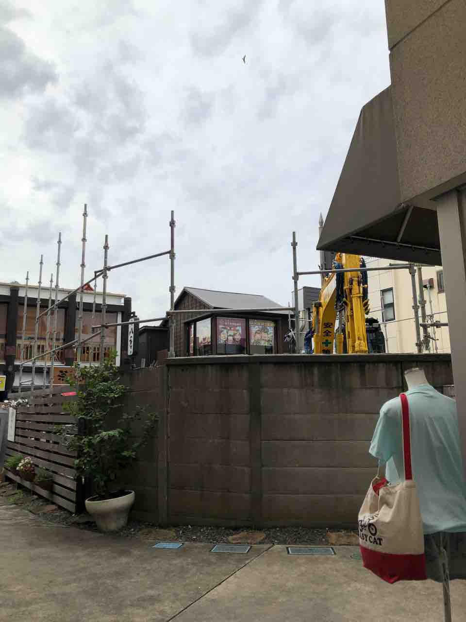 レタスtシャツ 鎌倉店にも入荷しました Kamakura Sunday Mart 鎌倉サンデーマート