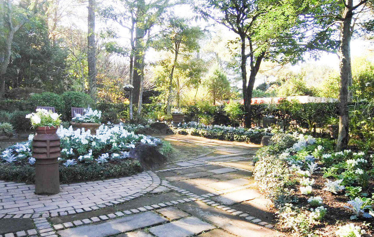 Marcel Dyf『庭園の花』 Marcel Dyf『庭園の花』