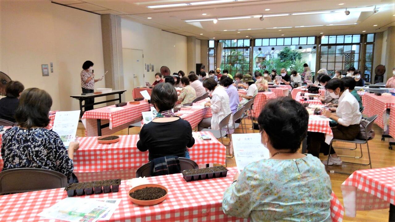 サン フラワー宮崎 秋の定例会 オープンガーデン サン フラワー宮崎 活動報告