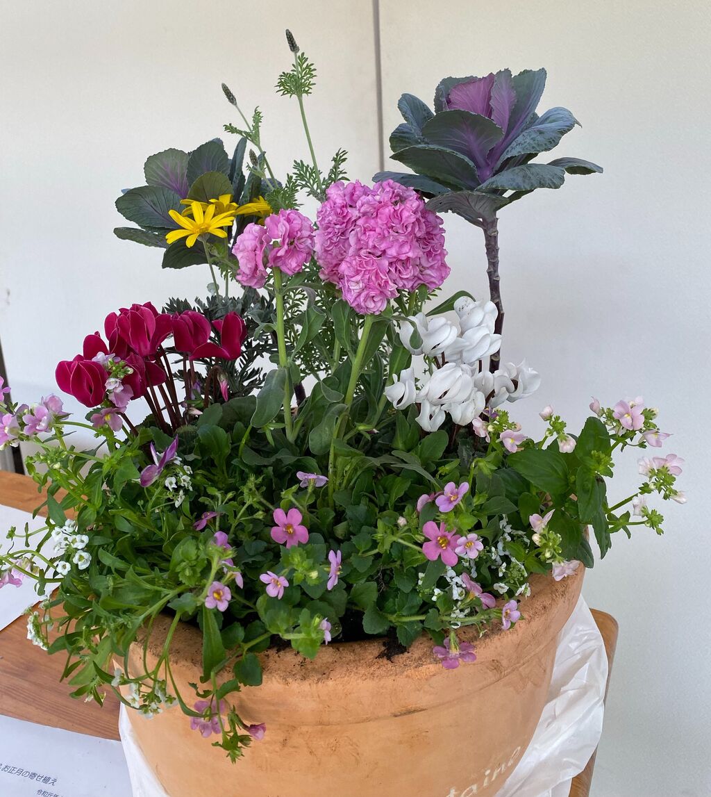 クリスマス お正月の寄せ植え講座 フローランテ宮崎 サン フラワー宮崎 活動報告