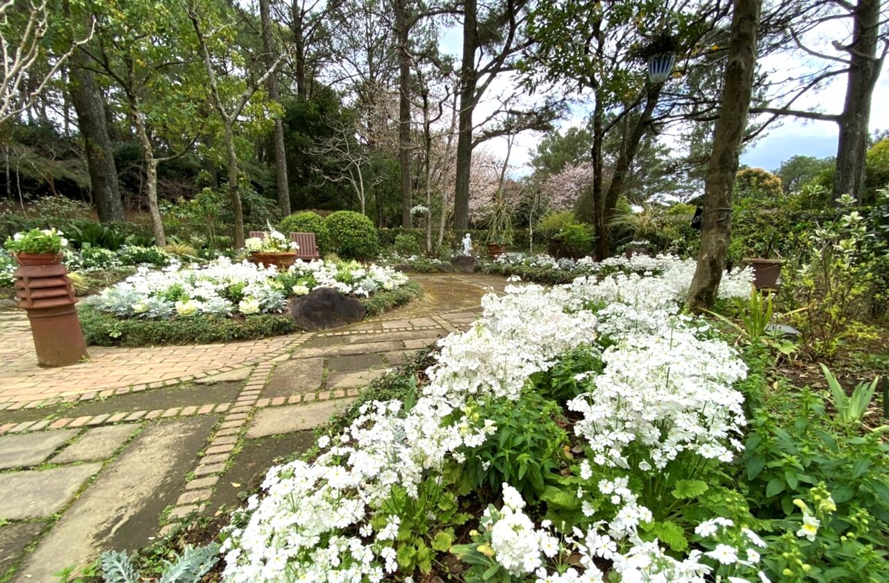 Marcel Dyf『庭園の花』 Marcel Dyf『庭園の花』