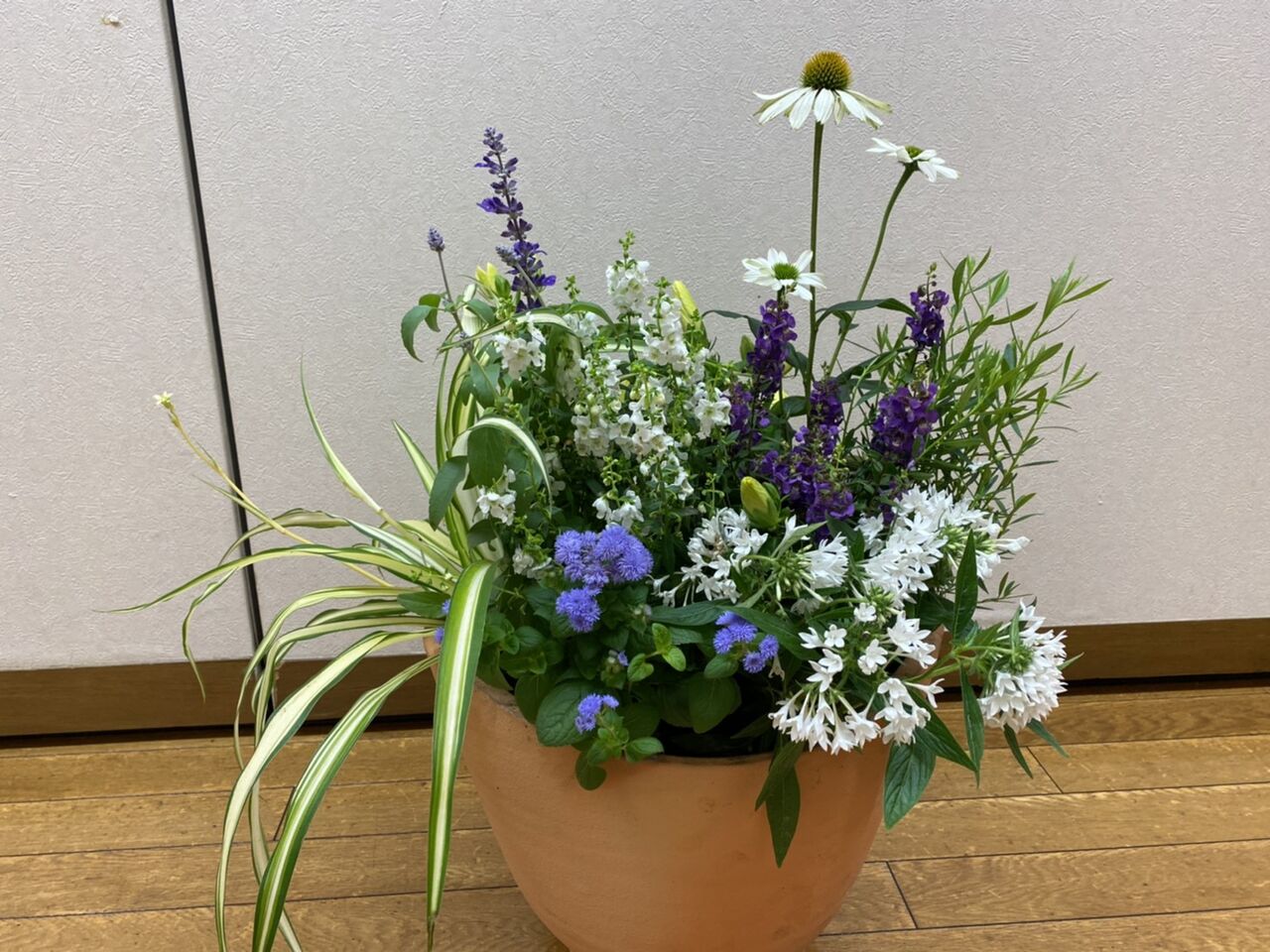 フローランテ講座 ジューンブライドの寄せ植え オープンガーデン サン フラワー宮崎 活動報告