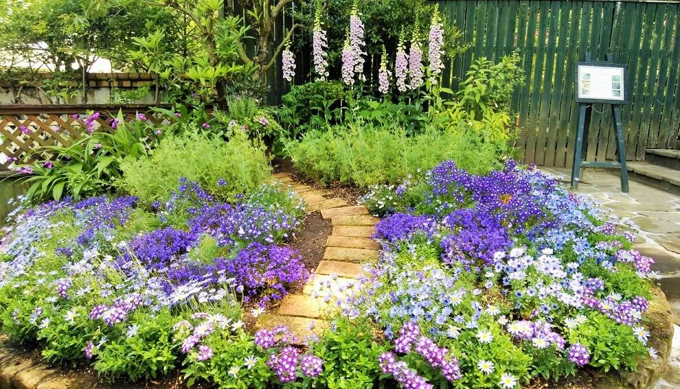 フローランテ宮崎 ブルーガーデン植替え作業 オープンガーデン サン フラワー宮崎 活動報告