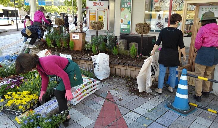 山形屋前花植栽ボランティア オープンガーデン サン フラワー宮崎 活動報告