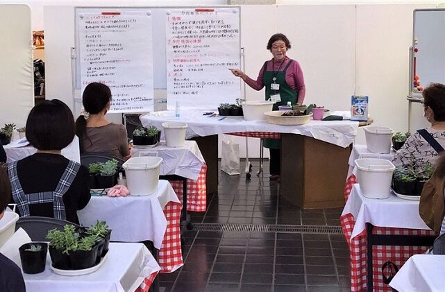 フローランテ講座 多肉植物の寄せ植え オープンガーデン サン フラワー宮崎 活動報告 フローランテ講座 多肉植物の寄せ植え オープンガーデン サン フラワー宮崎 活動報告