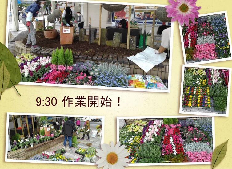 デパート前花壇の花植栽ボランティア 21年秋 冬 オープンガーデン サン フラワー宮崎 活動報告