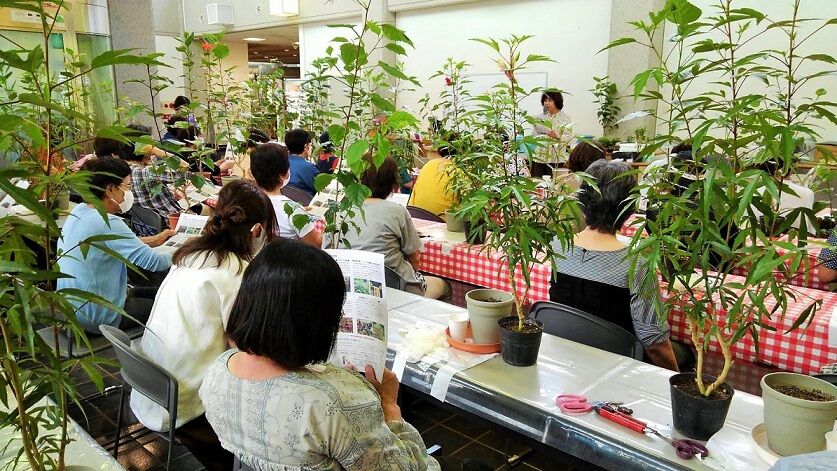 サン フラワー宮崎の定例会が開催されました サン フラワー宮崎 活動報告 サン フラワー宮崎の定例会が開催されました サン フラワー宮崎 活動報告