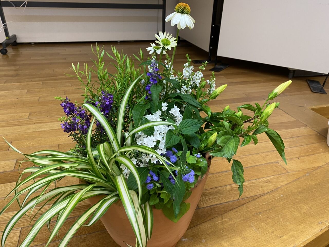 フローランテ講座 ジューンブライドの寄せ植え オープンガーデン サン フラワー宮崎 活動報告