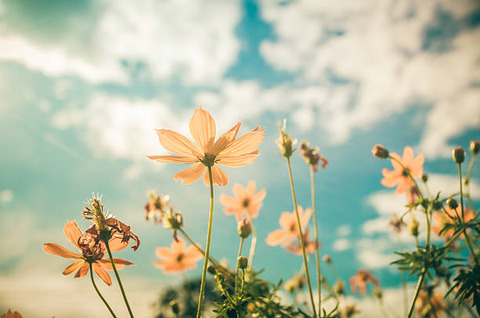 istockphoto-495543309-612x612