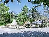 0c81bd85.jpg